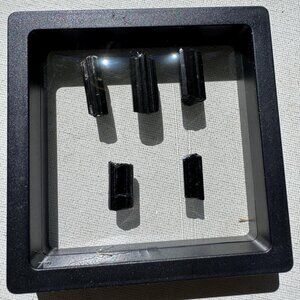 Black Tourmaline Crystals Lot in Display Case - 12 grams